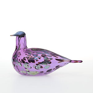 Birds Amethyst bird 0563