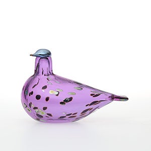 Birds Amethyst bird 0564