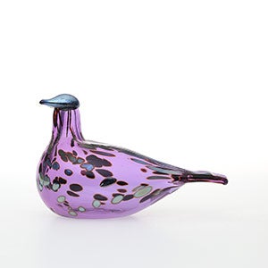 Birds Amethyst bird 0567