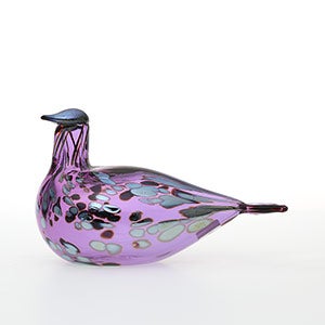 Birds Amethyst bird 0568