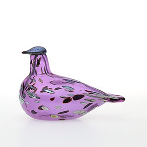 Birds Amethyst bird 0569