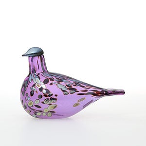 Birds Amethyst bird 0570