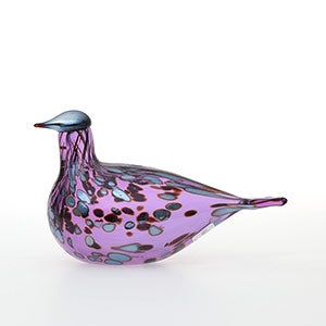 Birds Amethyst bird 0571