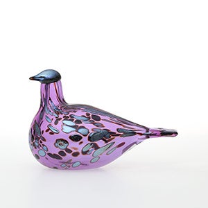 Birds Amethyst bird 0572