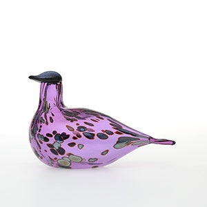 Birds Amethyst bird 0573