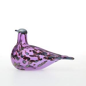 Birds Amethyst bird 0574
