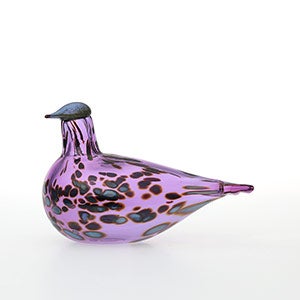Birds Amethyst bird 0575