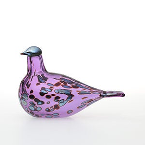 Birds Amethyst bird 0576