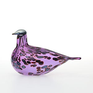 Birds Amethyst bird 0577