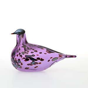 Birds Amethyst bird 0578