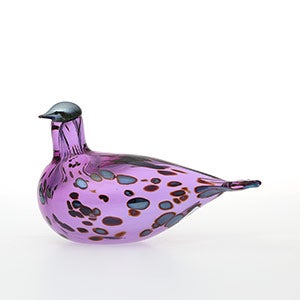 Birds Amethyst bird 0579