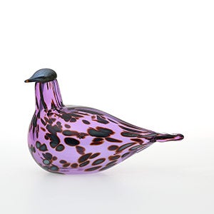 Birds Amethyst bird 0581