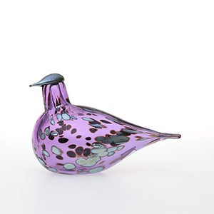 Birds Amethyst bird 0582
