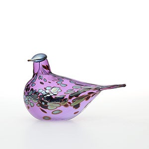 Birds Amethyst bird 0583