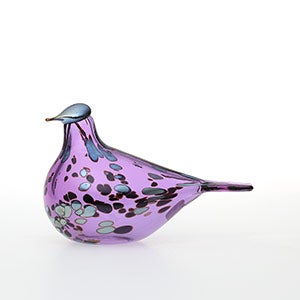 Birds Amethyst bird 0584