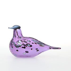 Birds Amethyst bird 0585