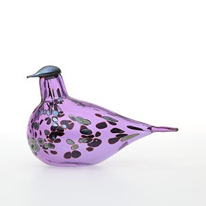 Birds Amethyst bird 0587