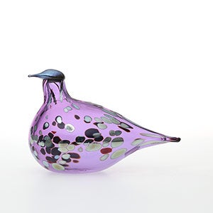 Birds Amethyst bird 0588
