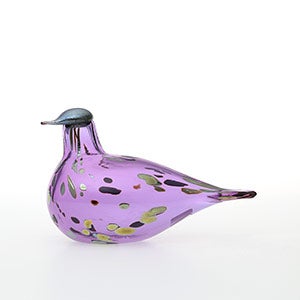 Birds Amethyst bird 0589