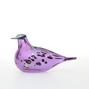 Birds Amethyst bird 0590