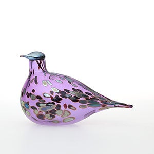 Birds Amethyst bird 0594