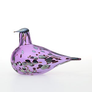 Birds Amethyst bird 0596