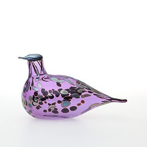 Birds Amethyst bird 0597