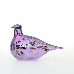 Birds Amethyst bird 0599
