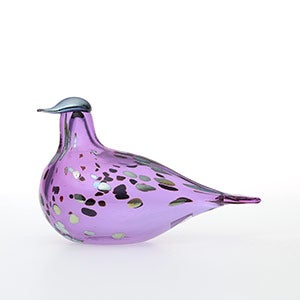 Birds Amethyst bird 0602