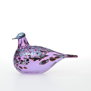 Birds Amethyst bird 0605