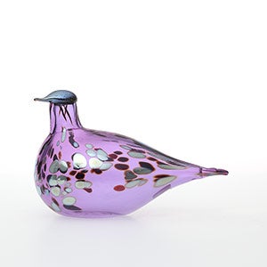 Birds Amethyst bird 0607