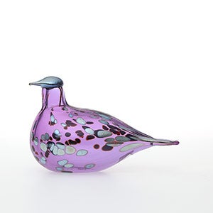 Birds Amethyst bird 0608