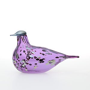 Birds Amethyst bird 0614