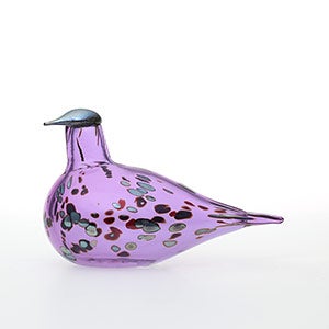 Birds Amethyst bird 0616