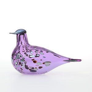 Birds Amethyst bird 0619