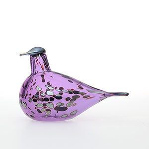 Birds Amethyst bird 0622