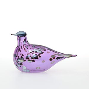 Birds Amethyst bird 0623