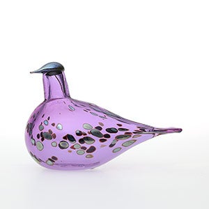 Birds Amethyst bird 0624