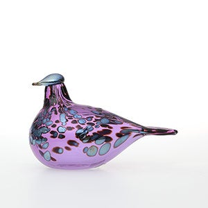 Birds Amethyst bird 0627