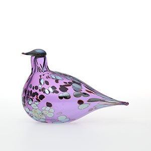 Birds Amethyst bird 0629