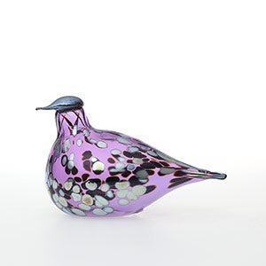 Birds Amethyst bird 0630