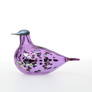 Birds Amethyst bird 0631