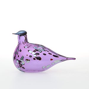 Birds Amethyst bird 0633