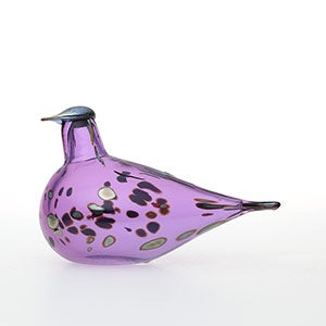 Birds Amethyst bird 0638
