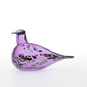 Birds Amethyst bird 0640