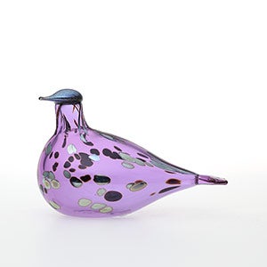 Birds Amethyst bird 0642