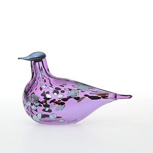 Birds Amethyst bird 0644