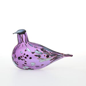 Birds Amethyst bird 0645
