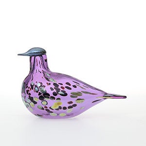Birds Amethyst bird 0646