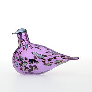 Birds Amethyst bird 0648
